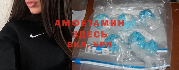 хмурый Белокуриха